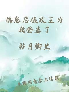 揣崽后摄政王为我登基了