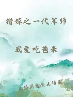 错嫁之一代军师