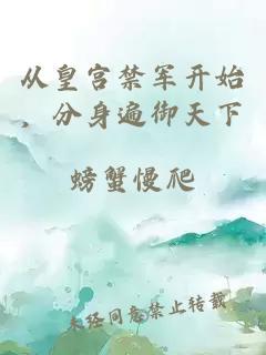 从皇宫禁军开始，分身遍御天下