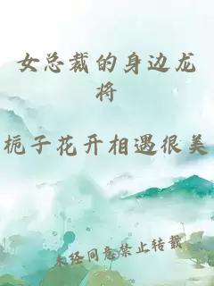 女总裁的身边龙将