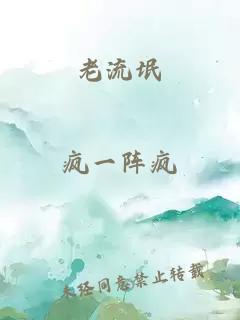 老流氓