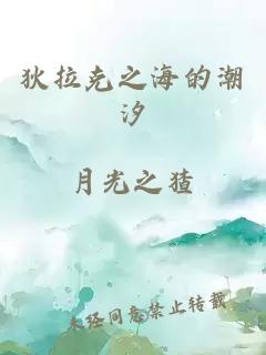 狄拉克之海的潮汐