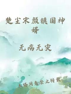 楚尘宋颜镇国神婿