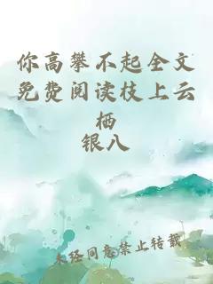 你高攀不起全文免费阅读枝上云栖