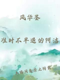 风华鉴