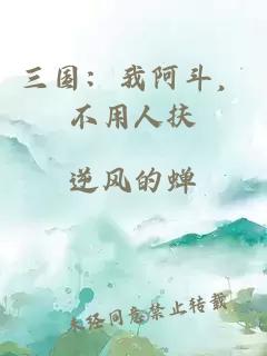 三国：我阿斗，不用人扶