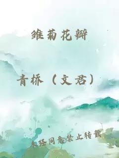 雏菊花瓣