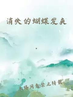 消失的蝴蝶发夹