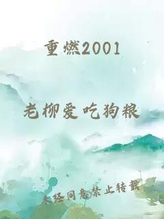 重燃2001