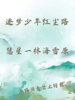 逐梦少年红尘路
