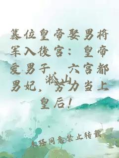 篡位皇帝娶男将军入後宫：皇帝爱男子，六宫都男妃，努力当上皇后！