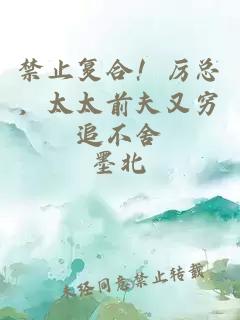 禁止复合！厉总，太太前夫又穷追不舍