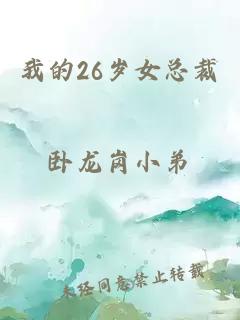 我的26岁女总裁