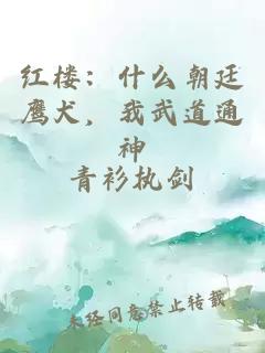 红楼：什么朝廷鹰犬，我武道通神