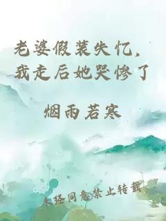 老婆假装失忆，我走后她哭惨了