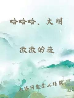 哈哈哈，大明