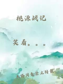 桃源战记