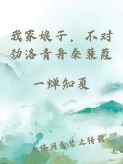 我家娘子，不对劲洛青舟秦蒹葭