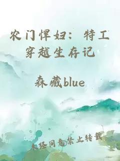 农门悍妇：特工穿越生存记