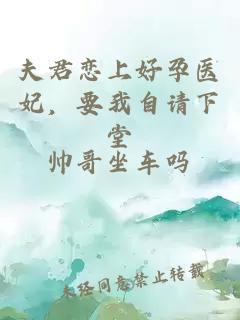夫君恋上好孕医妃，要我自请下堂