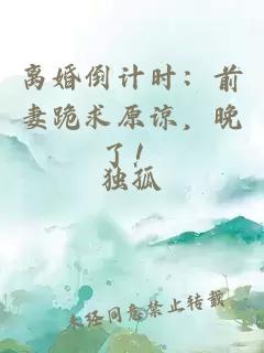 离婚倒计时：前妻跪求原谅，晚了！