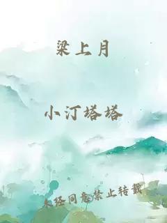 梁上月