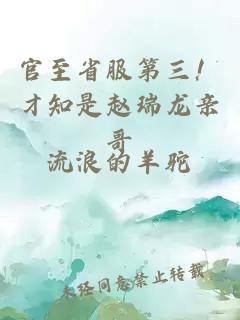 官至省服第三！才知是赵瑞龙亲哥
