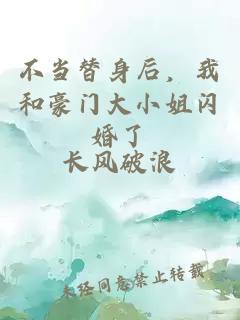 不当替身后，我和豪门大小姐闪婚了